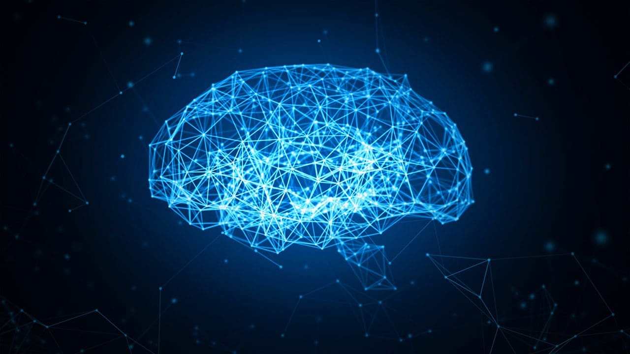 Neural Networks